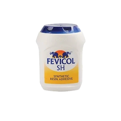 Fevicol & SR