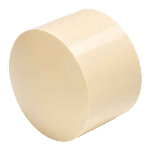 Astral cPVC End Cap Socket